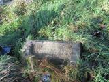 image of grave number 679581